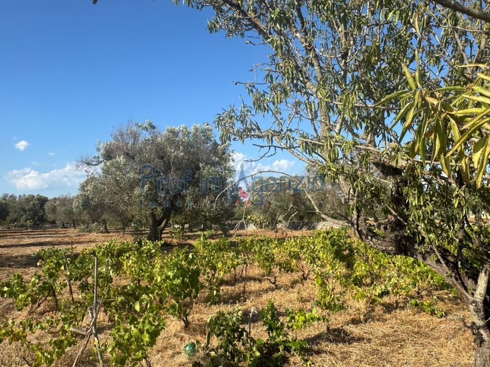 Helårsgrund i San Vito dei Normanni, Brindisi - foto 5